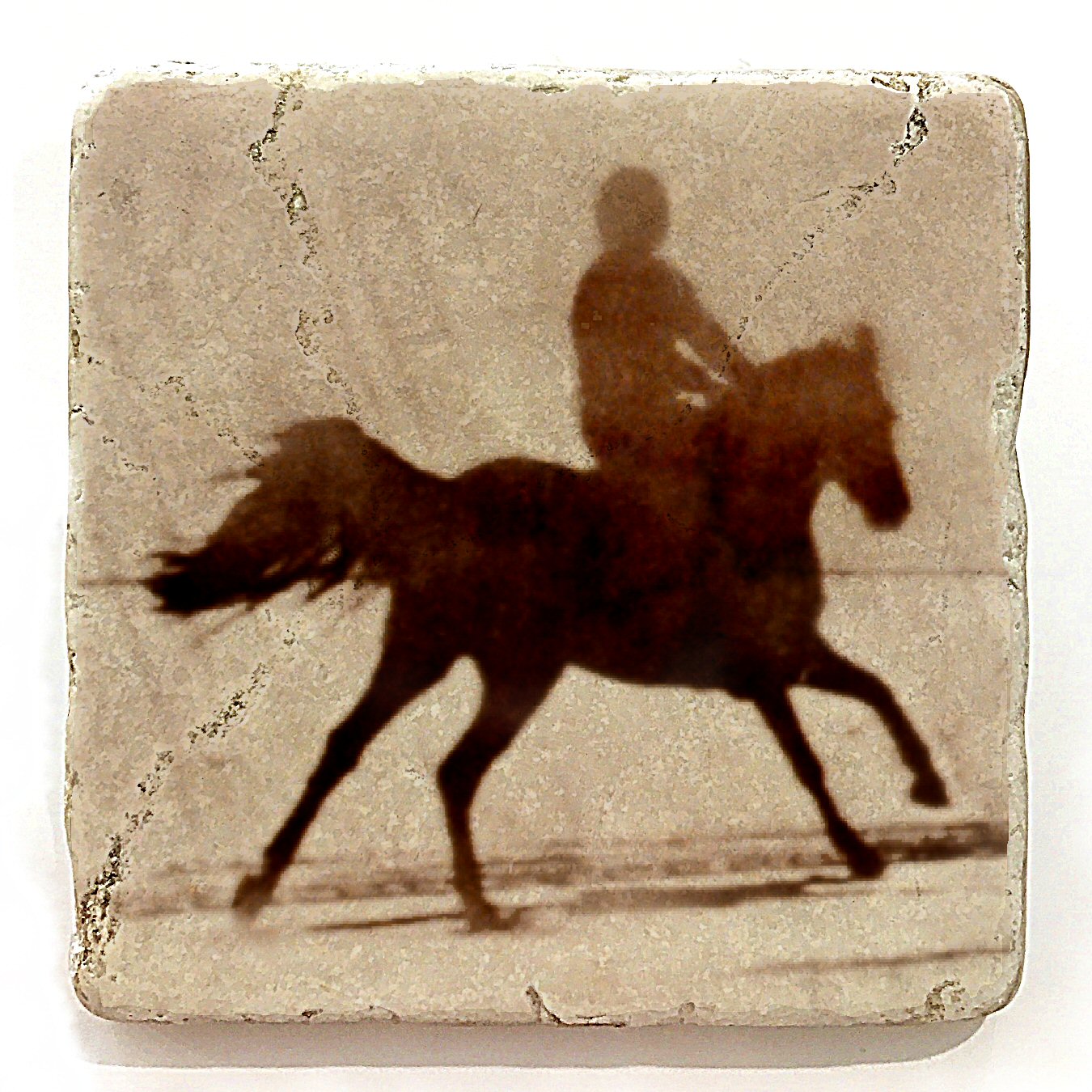 S4hors5018-1.jpg