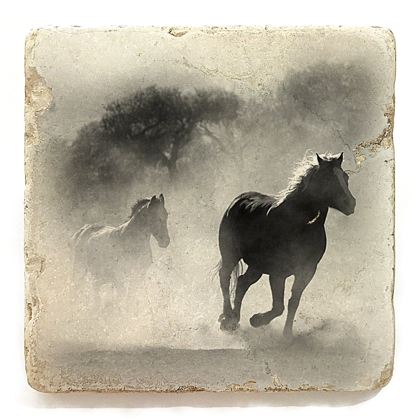 S4hors5020-1.jpg