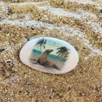 sea creatures